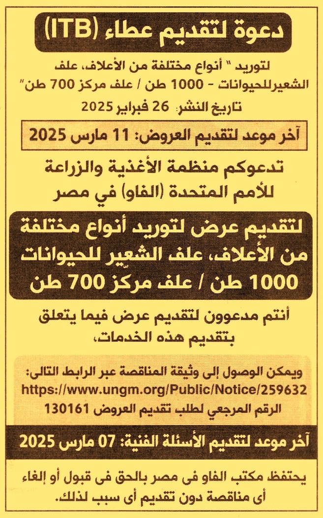 HOT Information