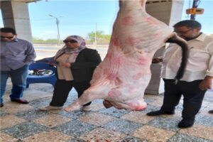«الزراعة» فتح المجازر مجانا لاستقبال الأضاحي طوال أيام العيد