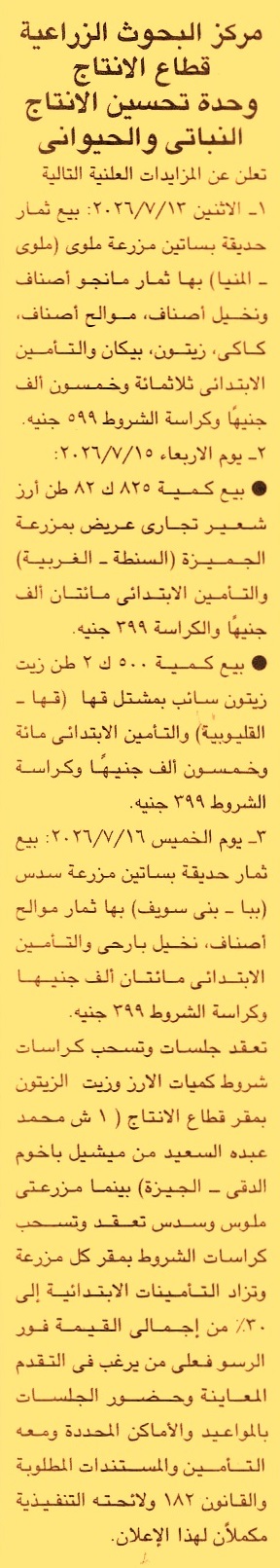 HOT Information