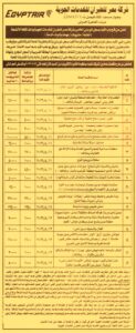 شركة مصر للطيران للخدمات الجوية