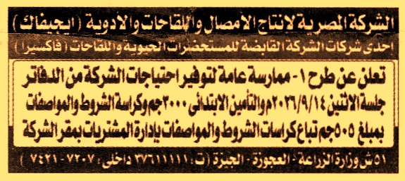 HOT information