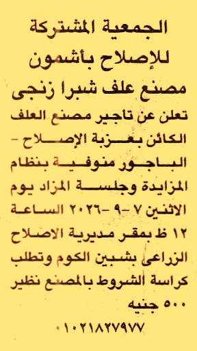 HOT information