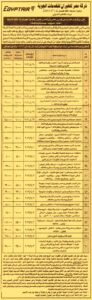 شركة مصر للطيران للخدمات الجوية