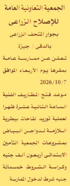HOT information