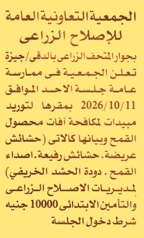 HOT information